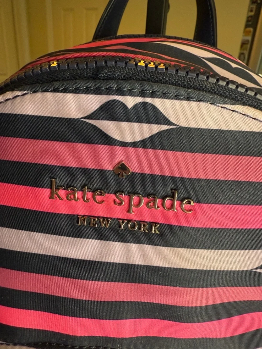 kate spade Navy & Pink Striped Mini Backpack with Lip Motif